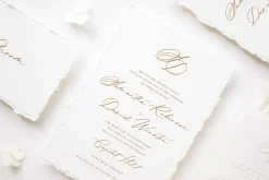 Modernist | Calligraphy Font