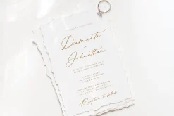 Modernist | Calligraphy Font