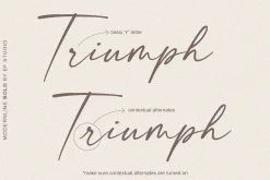 modernline | handwritten font