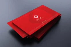 Modern Red Business Card