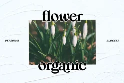 Mogila Display Font
