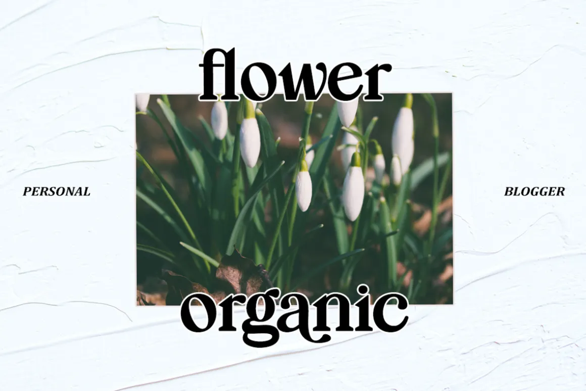 Mogila Display Font