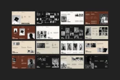 Mola -Brand Portfolio Bundle