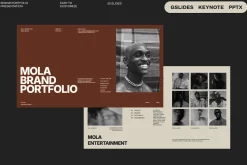 Mola -Brand Portfolio Bundle
