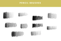 Molly's Toolbox: Procreate Brushes