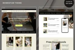Momentum Elementor WordPress Theme