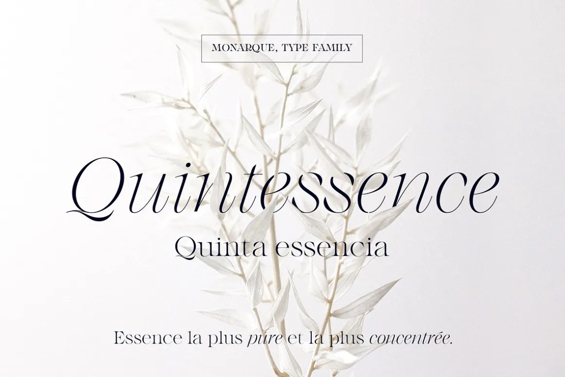 Monarque - Classy Serif Type Family