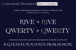 Monarque - Classy Serif Type Family