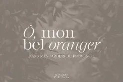 Monarque - Classy Serif Type Family