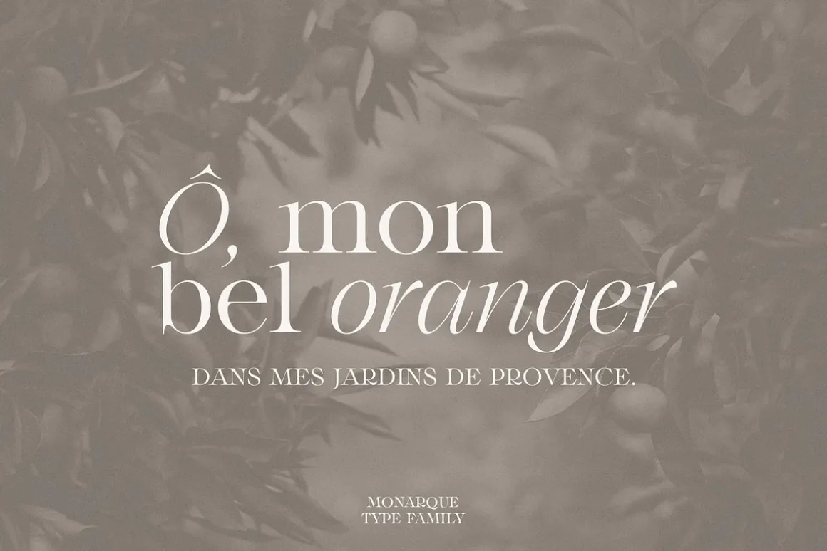 Monarque - Classy Serif Type Family