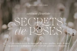 Monarque - Classy Serif Type Family