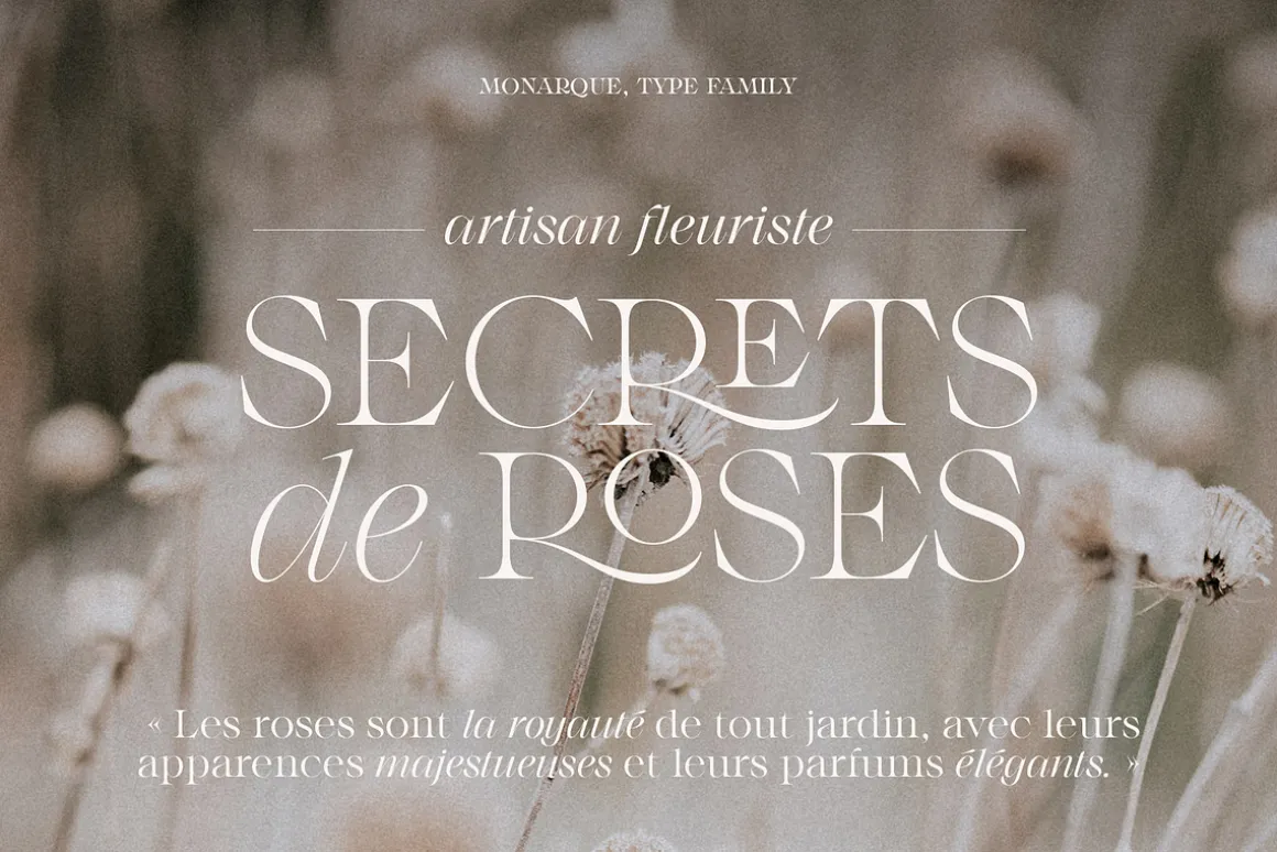 Monarque - Classy Serif Type Family