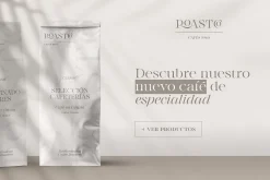 Monarque - Classy Serif Type Family