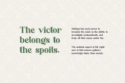 Monggoland Elegant Serif Font