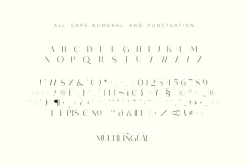 Monic - Modern Ligature Font