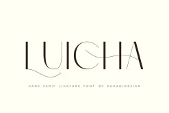 Monic - Modern Ligature Font