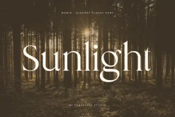 Monik - Elegant Classy Font