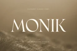 Monik - Elegant Classy Font