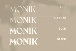 Monik - Elegant Classy Font