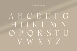 Monik - Elegant Classy Font
