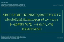 Monospace Serif Font - Nickota