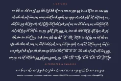 Monthly Raine Bold Calligraphy Font