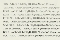Montu vintage serif family