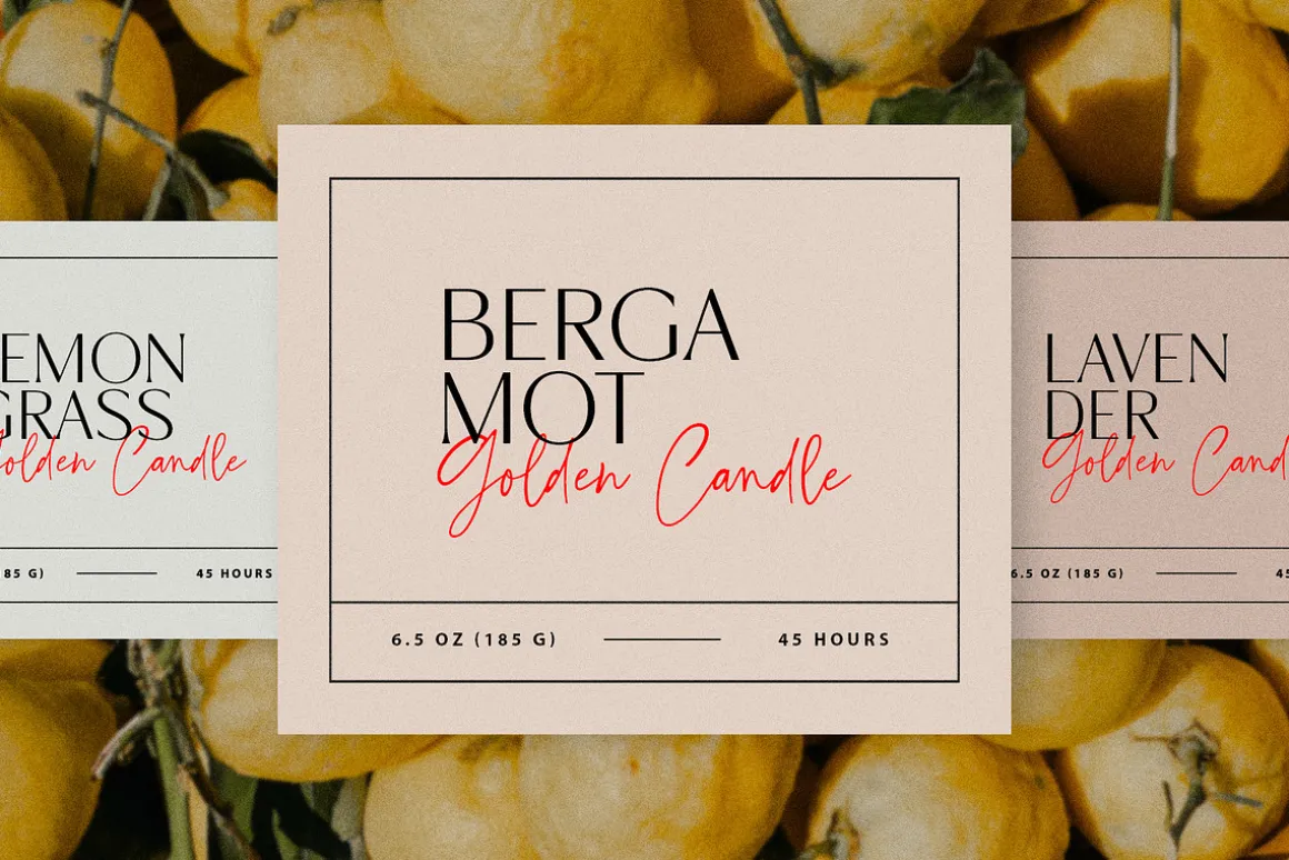 Montu vintage serif family