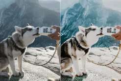 Moody ADVENTURE Lightroom Presets