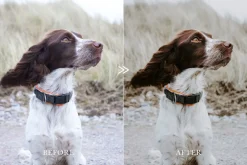 Moody ADVENTURE Lightroom Presets