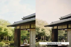 20 Moody Garden Lightroom Presets
