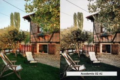 20 Moody Garden Lightroom Presets