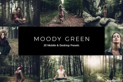 20 Moody Green LR Presets