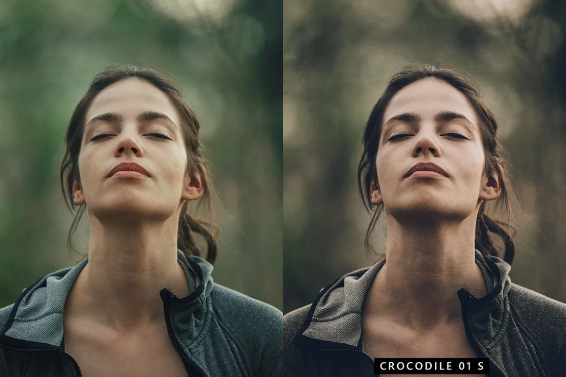 20 Moody Green LR Presets