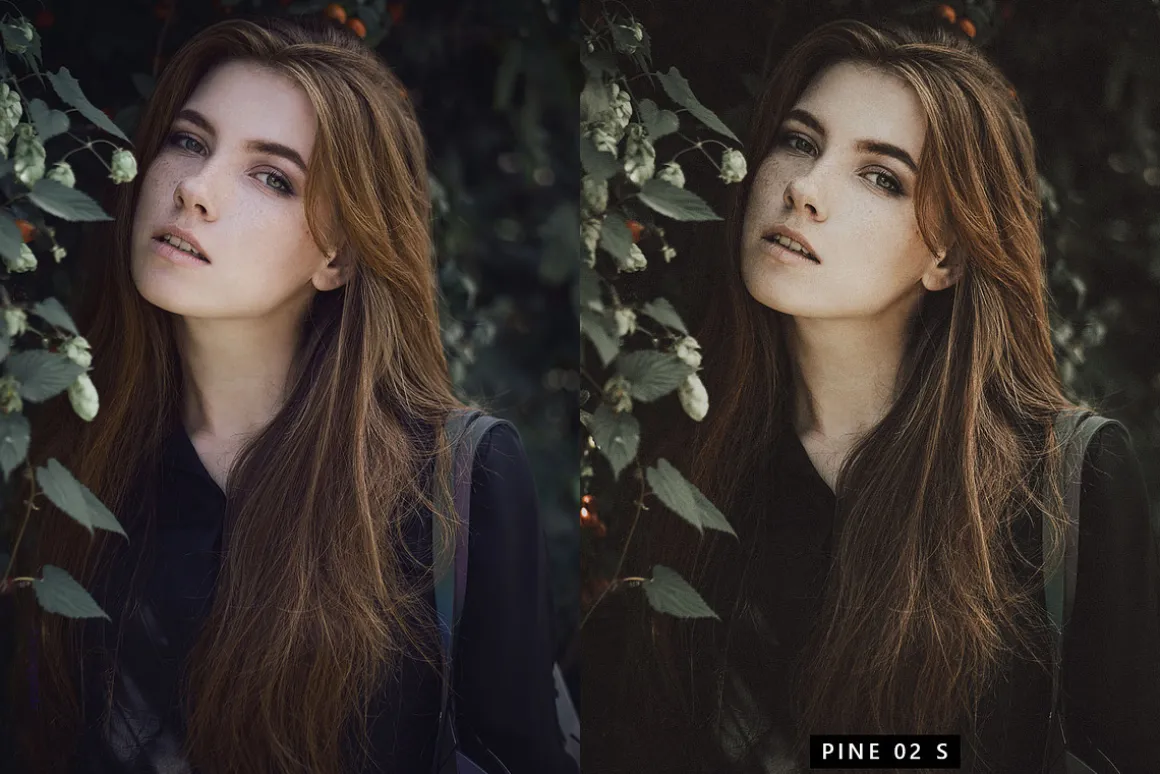 20 Moody Green LR Presets