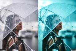 Moody Rainy Day Lightroom Presets