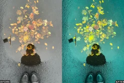 Moody Rainy Day Lightroom Presets