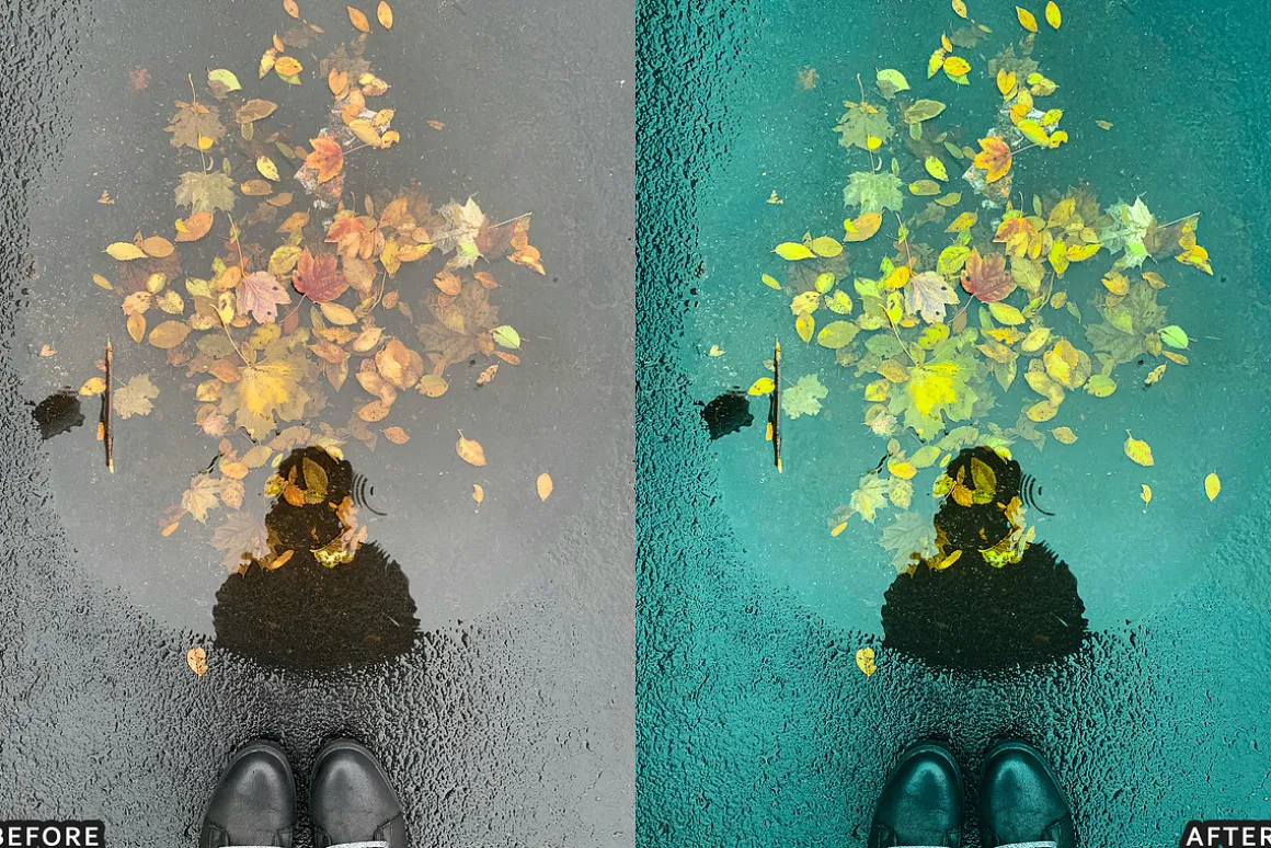 Moody Rainy Day Lightroom Presets