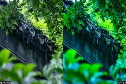 Moody Rainy Day Lightroom Presets
