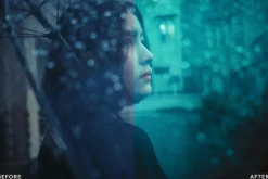 Moody Rainy Day Lightroom Presets