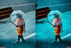 Moody Rainy Day Lightroom Presets