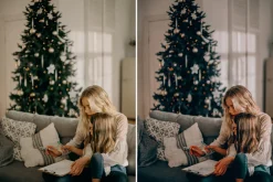 Moody winter Lightroom presets