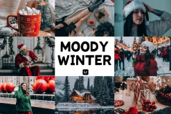 Moody winter Lightroom presets