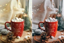 Moody winter Lightroom presets