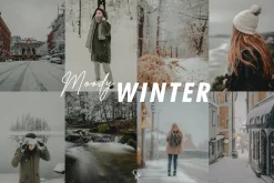 15 Moody Winter Lightroom Presets