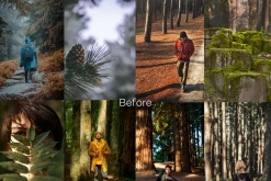 15 Moody Woods Lightroom Presets