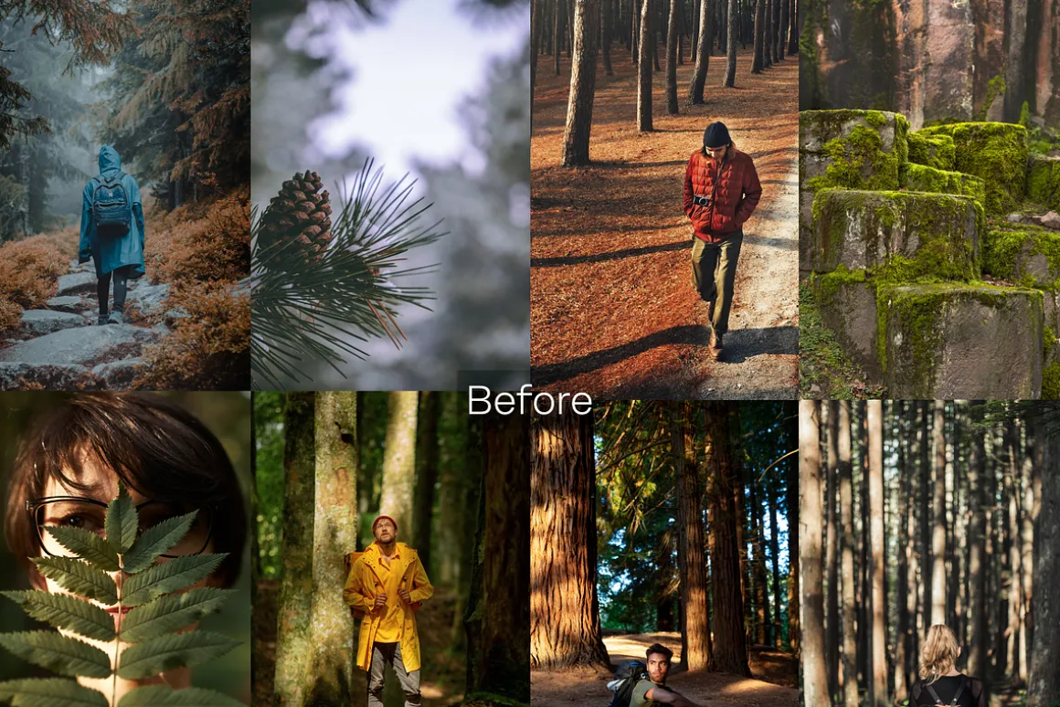 15 Moody Woods Lightroom Presets