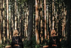 15 Moody Woods Lightroom Presets