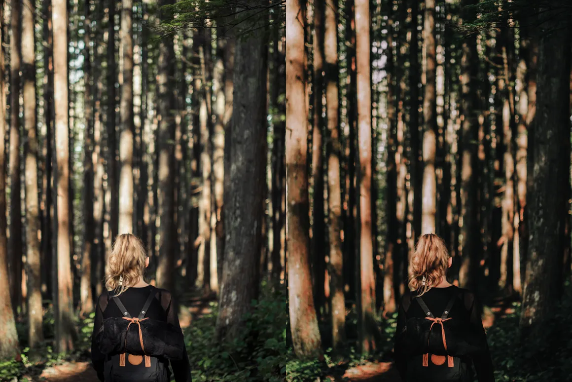 15 Moody Woods Lightroom Presets
