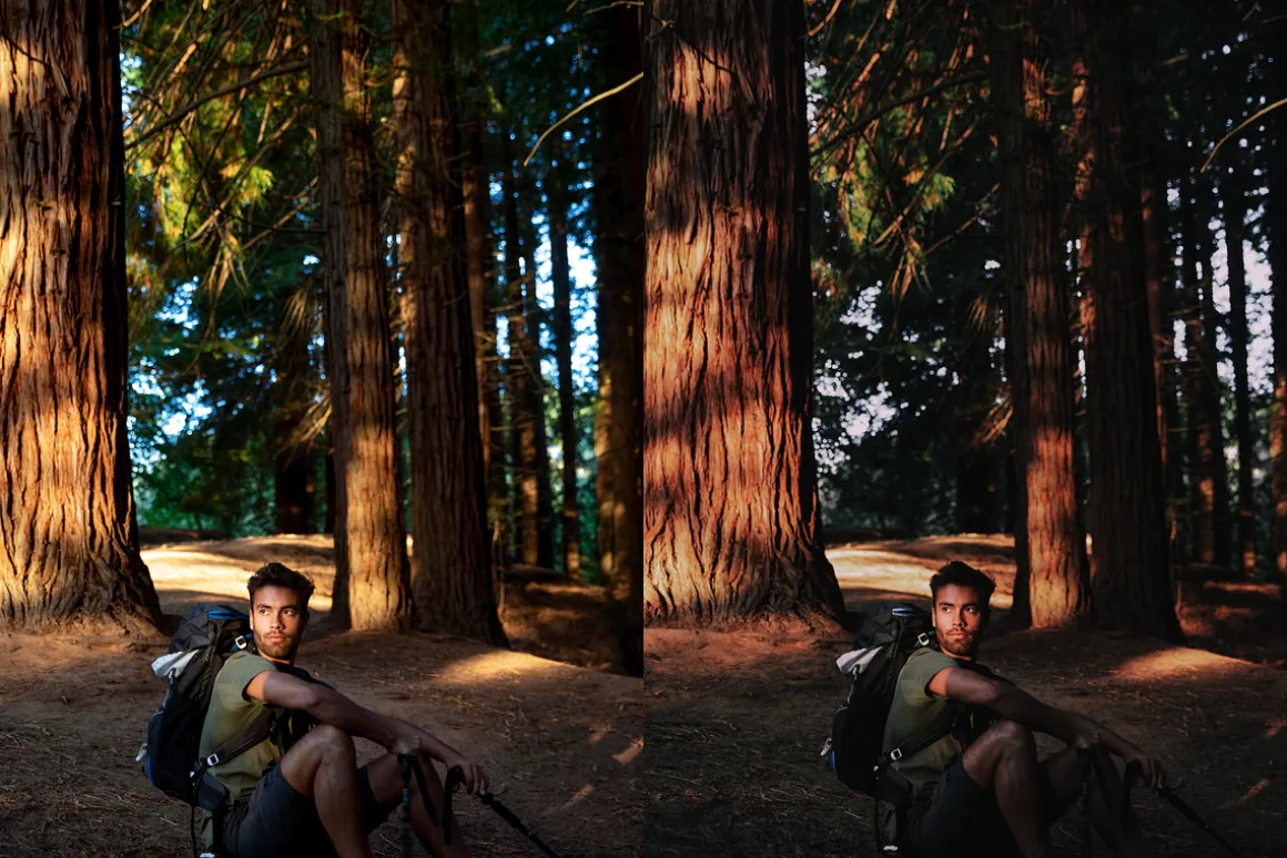 15 Moody Woods Lightroom Presets